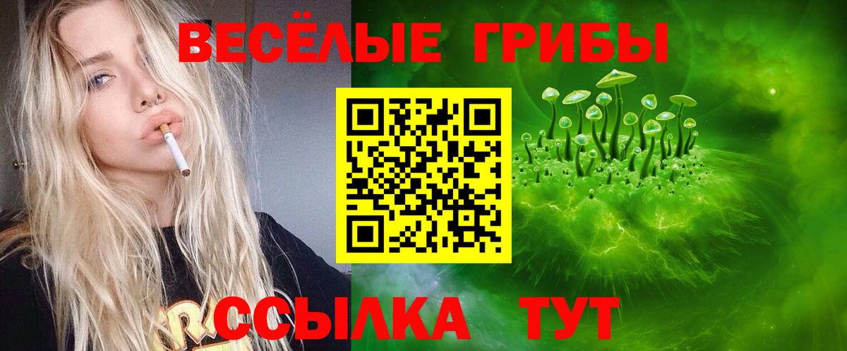 Шуя  закладка  Вход с VPN  Галлюциногенные грибы Magic Shrooms 