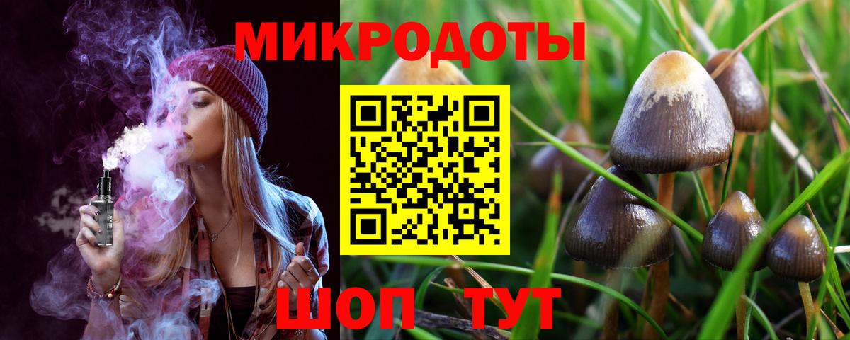 Галлюциногенные грибы ЛСД Шуя